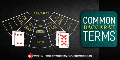 baccarat glossar|Comprehensive Baccarat Glossary Of Terms & Slang.